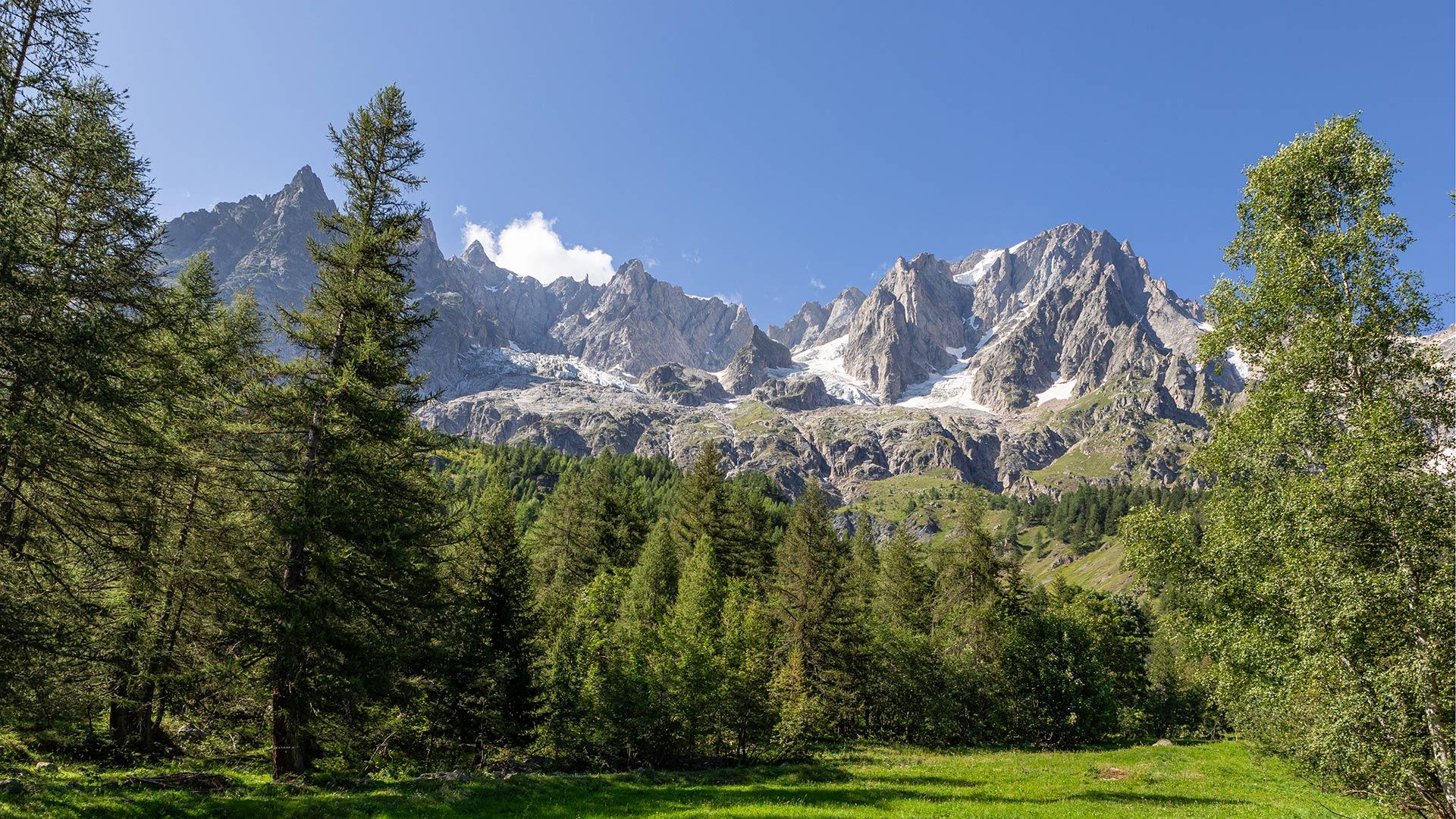 grandesjorasses en territory 012